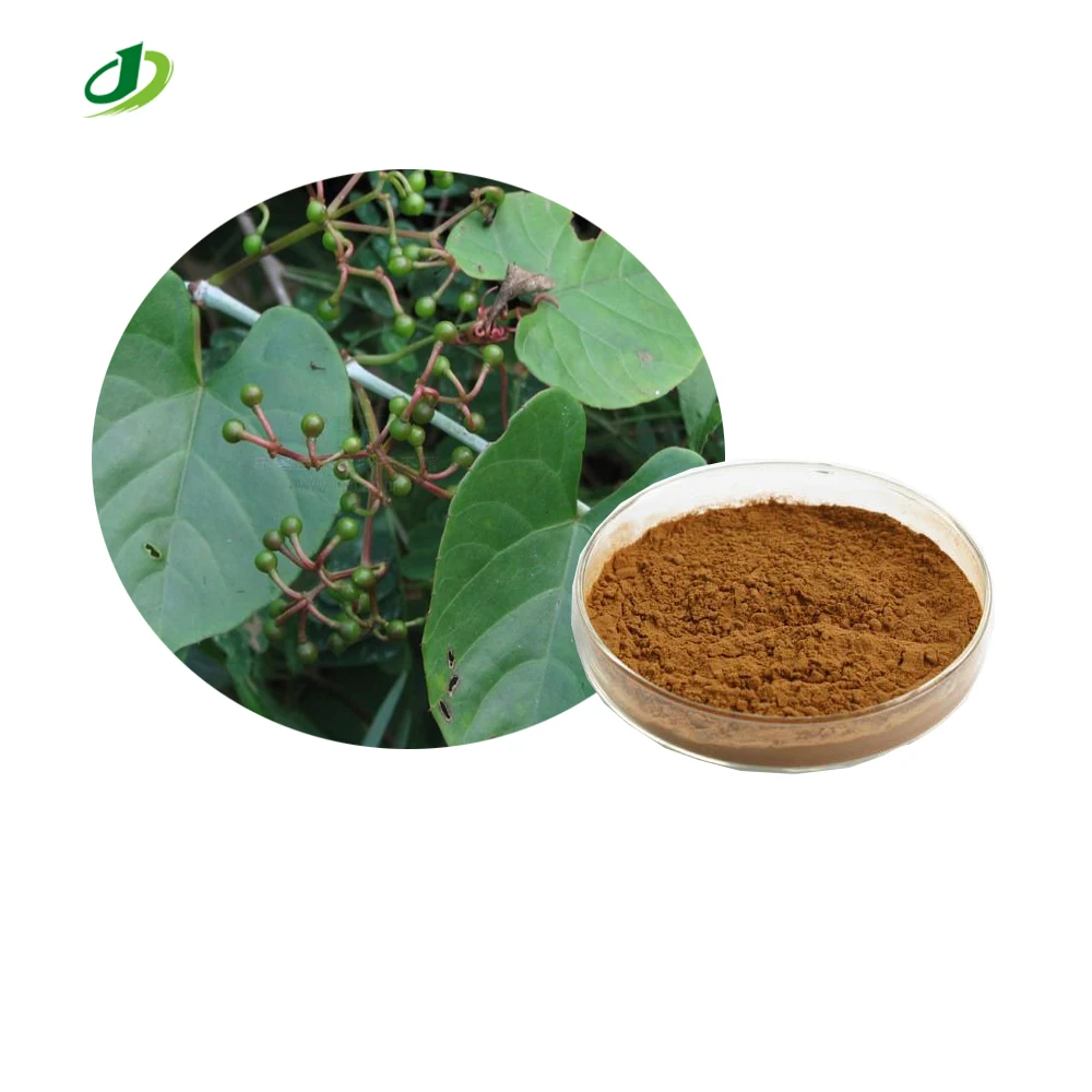 Порошок экстракта Cissus Quadrangularis quadrangularis P.E 10:1
