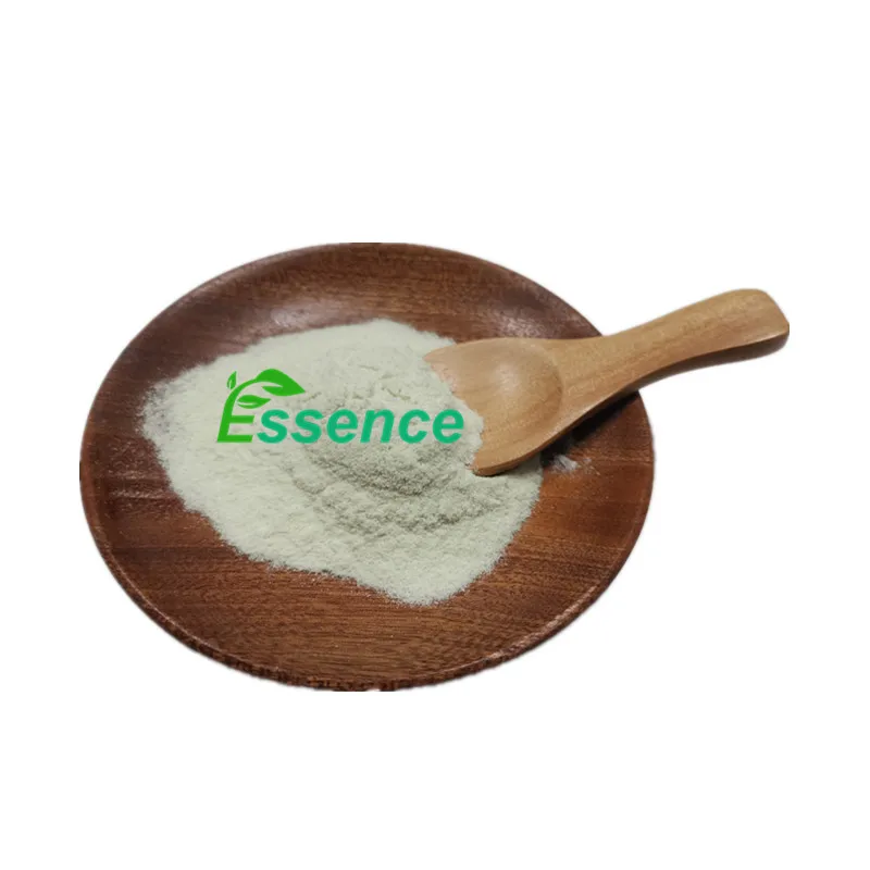 Bulk Osthole Cnidium Monnieri Fruit Extract Powder