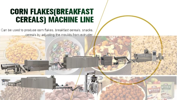 Double Screw Extruder Food Equipment Automatic Breakfast Cereals Production Line