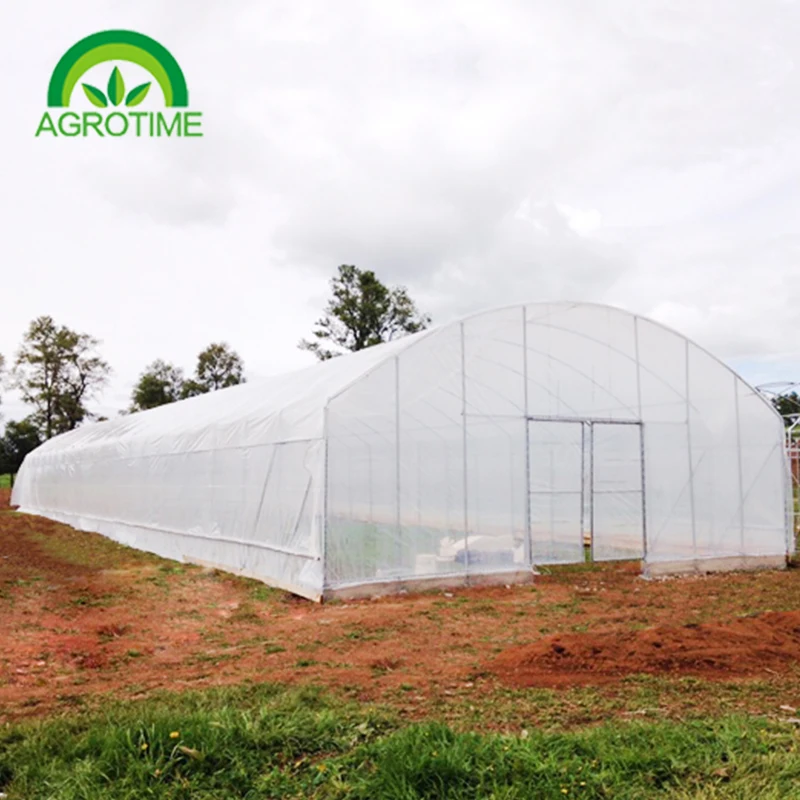 CHINA AGROTIME The commercial agricultural cheapest plastic tunnel greenhouses for sale
