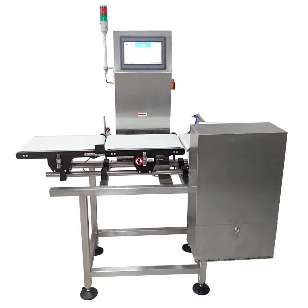 Dynamic weight testing machine for food conveyor belt check scale digital weighing with printer pusher
