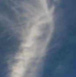 auto test no delete no modify test hahahtestStandardProductCustomSKU