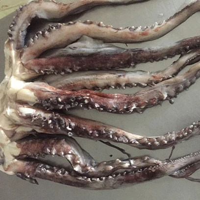 
 Замороженные гигантские крючки для кальмаров, оптовая продажа, гигантская палатка для кальмаров  