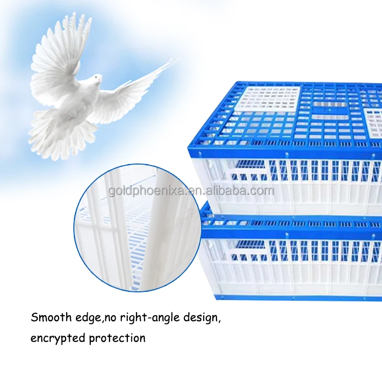 yyc Plastic Three Doors Bird Transportation Cage Poultry Racing Pigeon Cages Training Cage