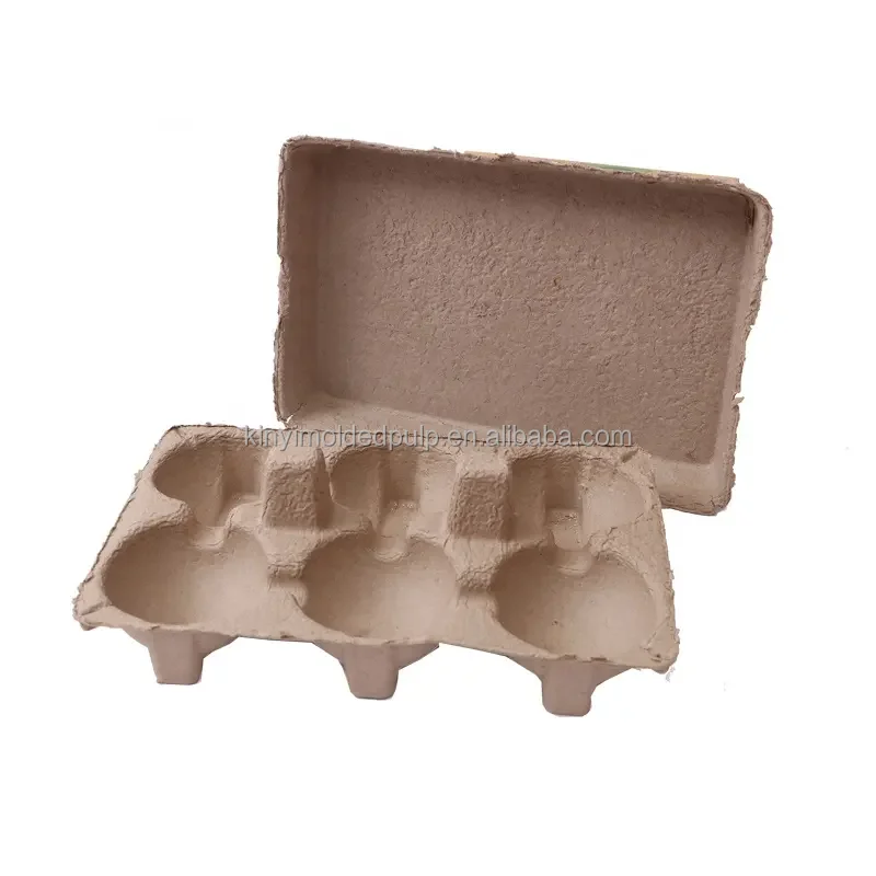 Customized Biodegradable Compostable Fruit Vegetable Tray Sugarcane Bagasse Tray