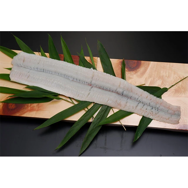 Boneless high quality frozen conger eel fish fillet for sale