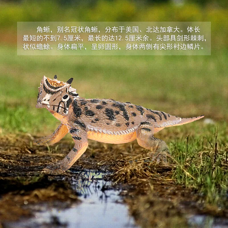 Wholesale Solid PVC Simulation Statue Model Reptile Lizard Animal Figurines Toys