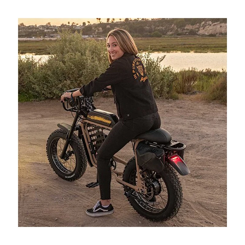 Высокая скорость hubless Гибридный с толстыми покрышками грязи 1000w 48v Ретро Винтаж MTB самый быстрый Электрический велосипед mtb Байк, способный преодолевать Броды для электрического велосипеда