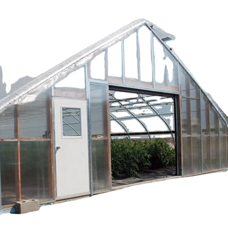 single span film greenhouse mushroom growing equipment