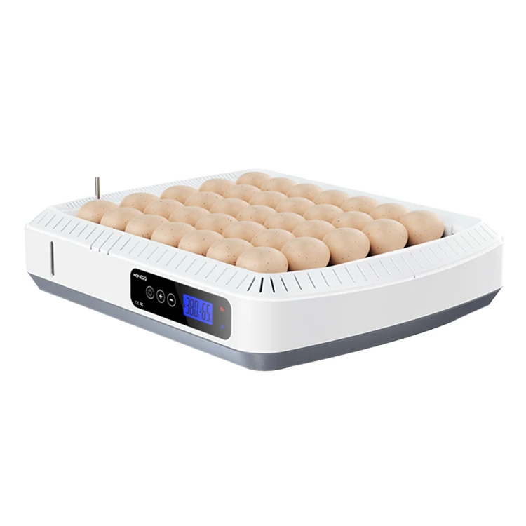 WONEGG Chinese Fully Automatic Chicken JJC 35 Egg Incubators Thermometer Temperature Humidity