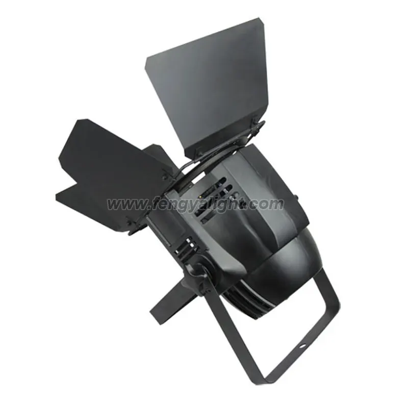 100w Cob Led Par Can Warm White and Pure White Led Par 64 Dmx Stage Lighting