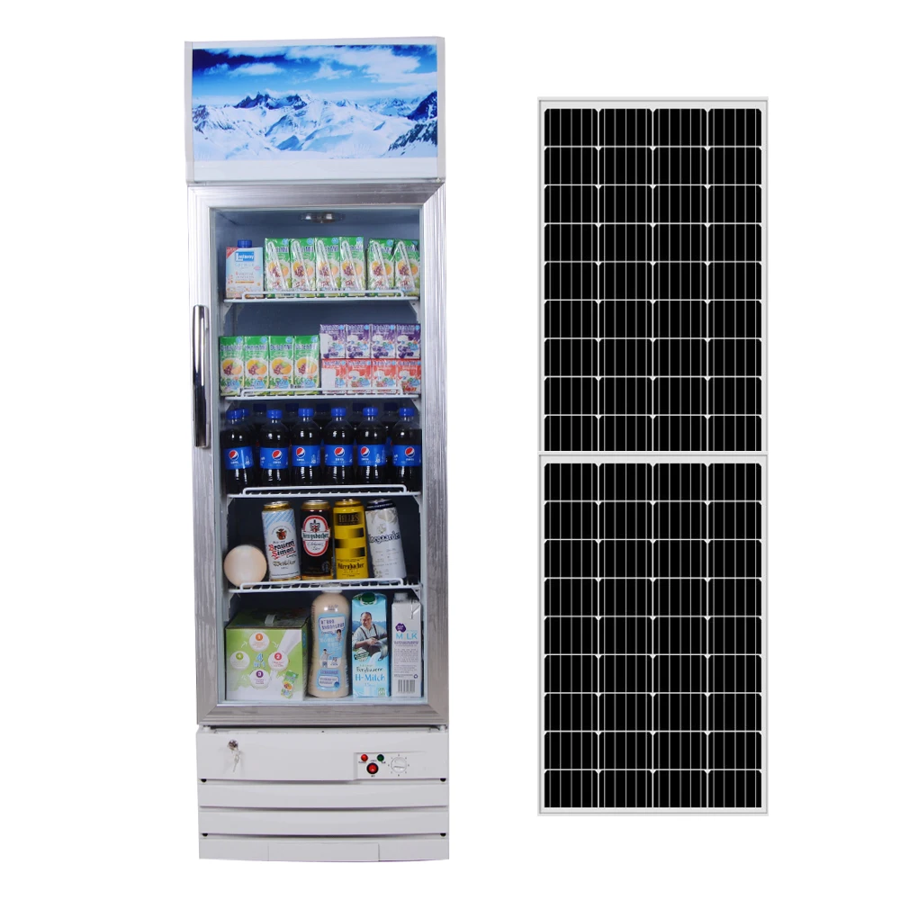 High Quality Professional Solar Powered Top-Freezer Refrigerator Fridge From Factory