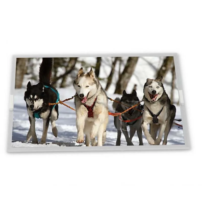 TX18D206VM0BPA 7.0 inch 800*480 lcd display fpc Complete range of industrial screens Quality supplier