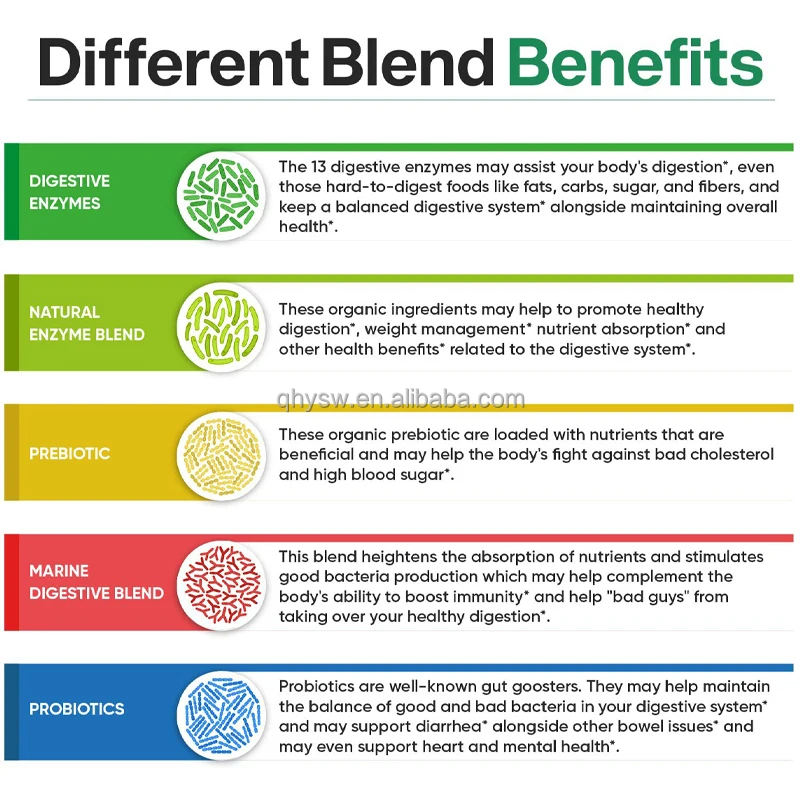 OEM ODM Natural Digestive Enzymes Capsules Supplement of Prebiotics with Probiotics Properties Digestive Enzymes Capsules