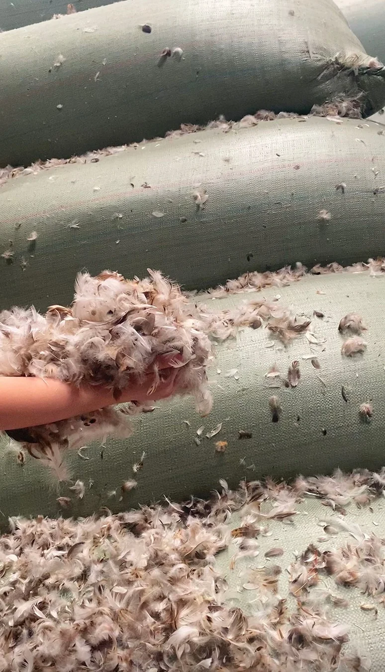 Natural and environmentally friendly throw pillow cushion filling material wholesale: washed 90 grey duck hair pieces