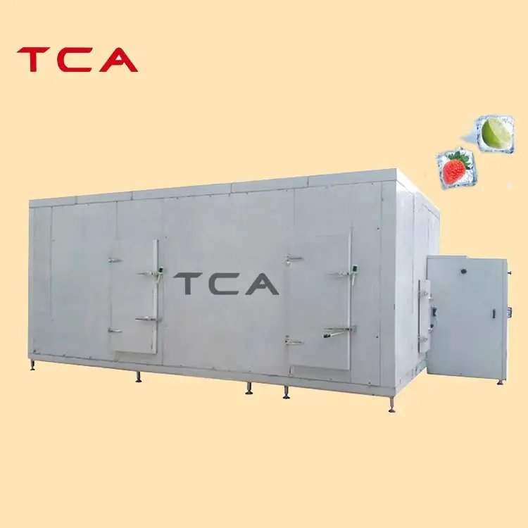 TCA 1000kgh  conveyor  belt  monomer quick freezer deep quick freezer fruit freezer with CE