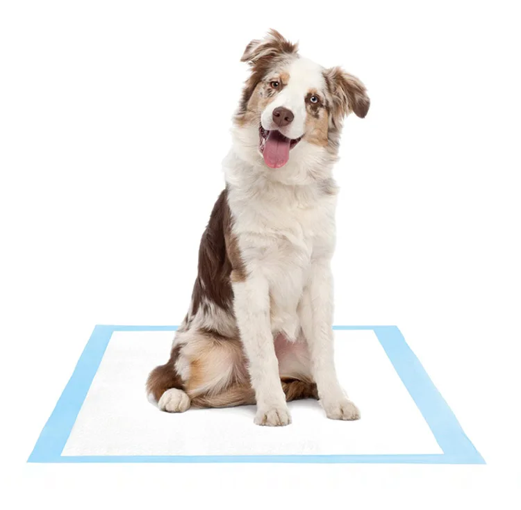 OEM Pet Training Puppy Pads Factory Dog Cat Toilet Mat Wholesale Heavy/Duty/Absorbency Puppy Dogs Training Pee Pads for Dogs