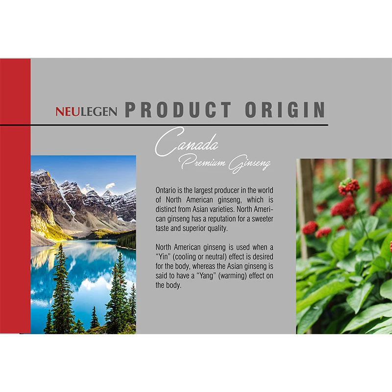 Factory Price Canada Premium Ginseng Herbal Tea Features with Relieve Body Fatigue and Provided Energy