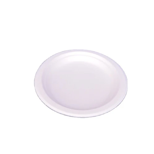 Hot sale disposable sugarcane tableware