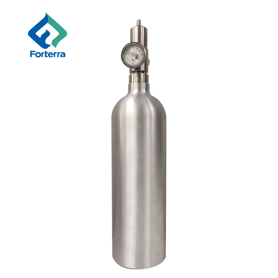 Высококачественный хромированный Стандартный регулятор давления газа постоянного потока C10 для алюминиевого газового баллона