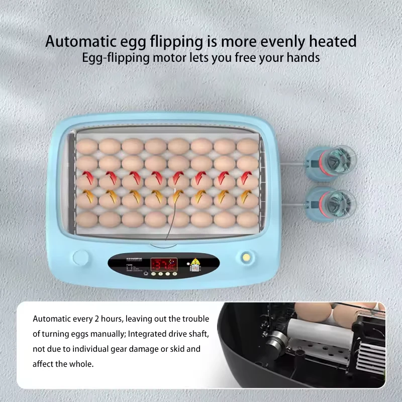 ST-36C Automatic Incubator And Hatcher Egg Incubator Hatchery Best Price Quail Egg Incubator 36 Eggs