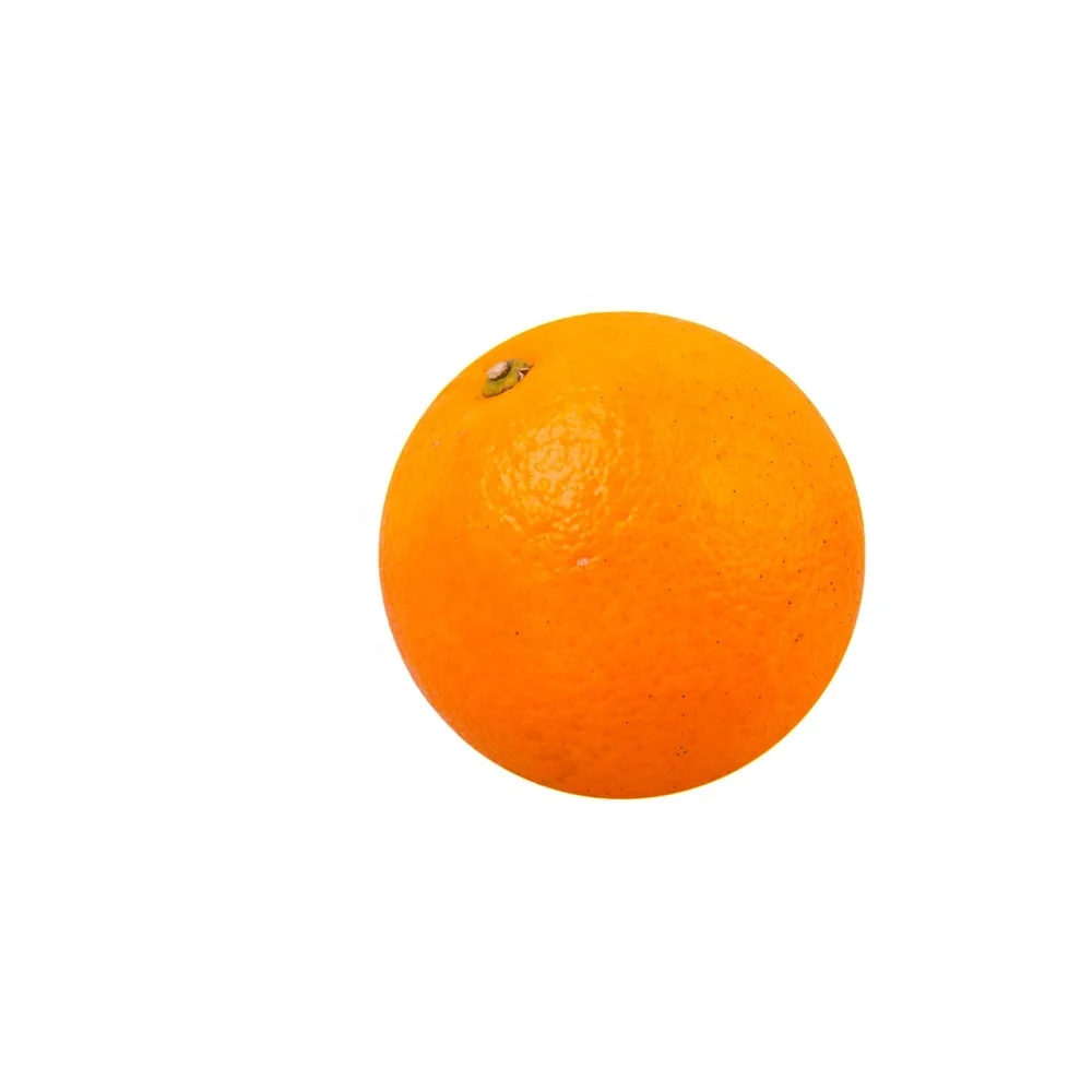 High Quality Wholesale Navel Orange and Valencia Orange Natural Sweet Delicious Fresh Citrus Fruit at Best Price