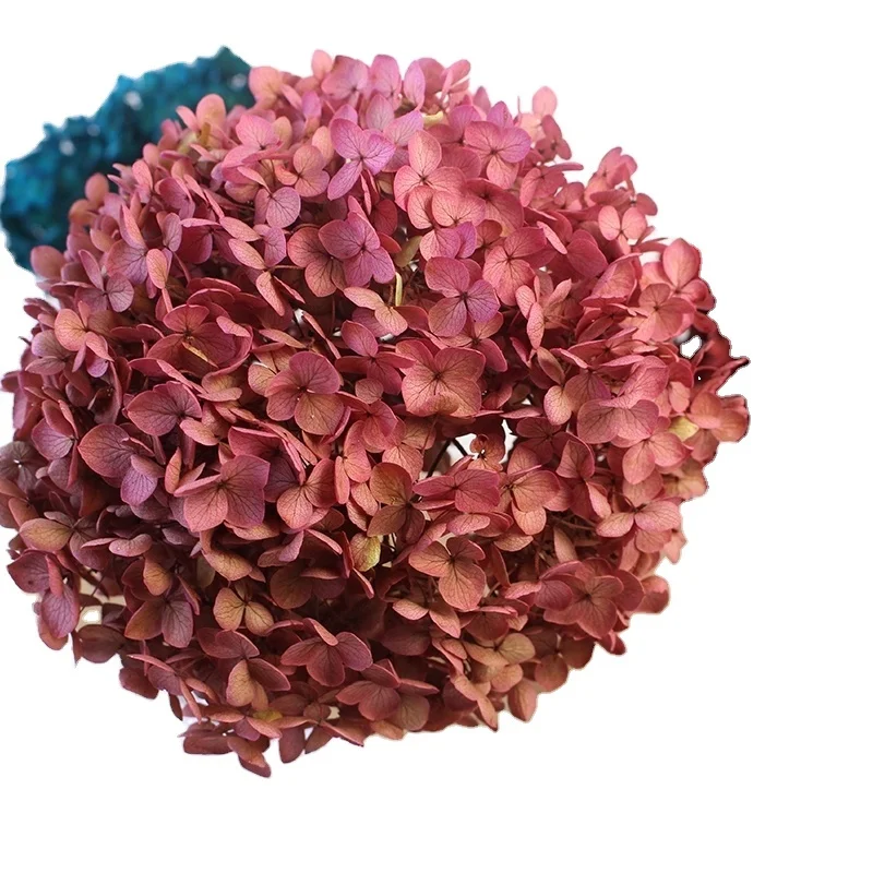 Preserved Hydrangea real touch for home decor bouquet eternal flowers dried flowers