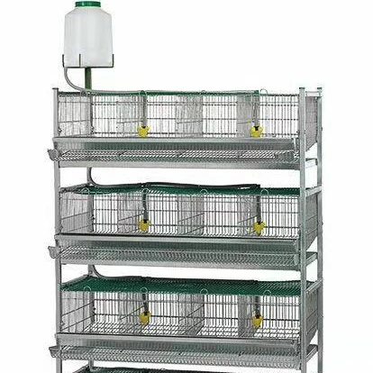 Оптовая продажа, изысканная металлическая клетка для перепелов с многослойным длительным сроком службы