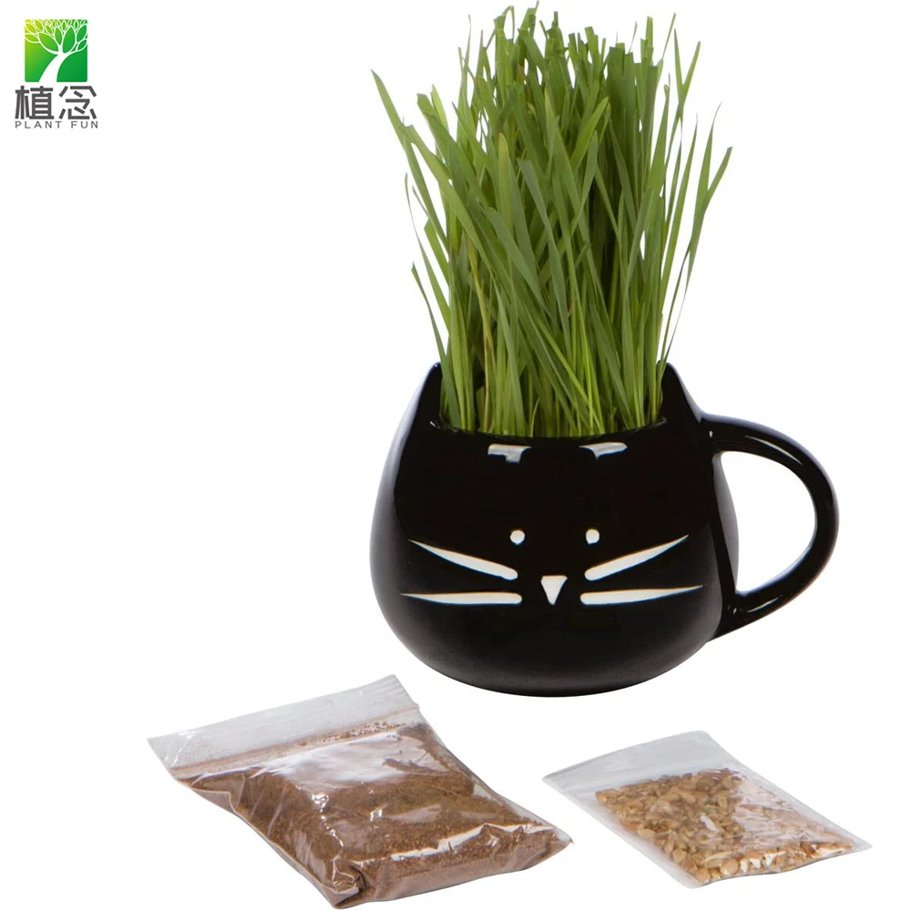 New arrival 100% Organic Cat Dog Grass seeds Growing Kit