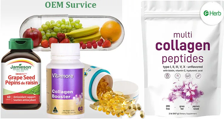 OEM Micro Ingredients Multi Collagen Protein Powder, 1 Pound Type I,II,III,V,X with Biotin, Hyaluronic Acid