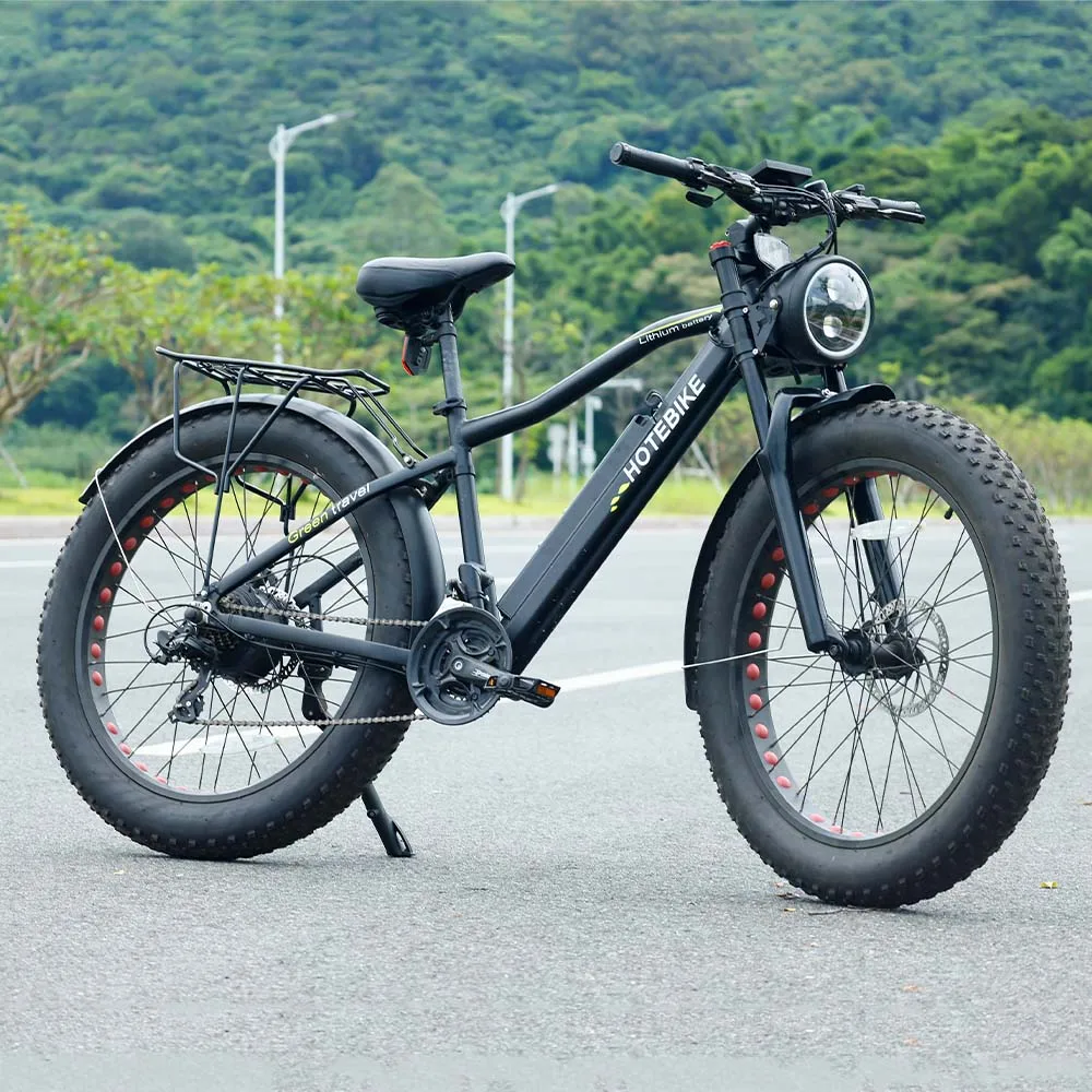 OEM  Aluminum Alloy fastest electric bike long range 500w 750w 1500w electric bike fat tire enduro e-bike