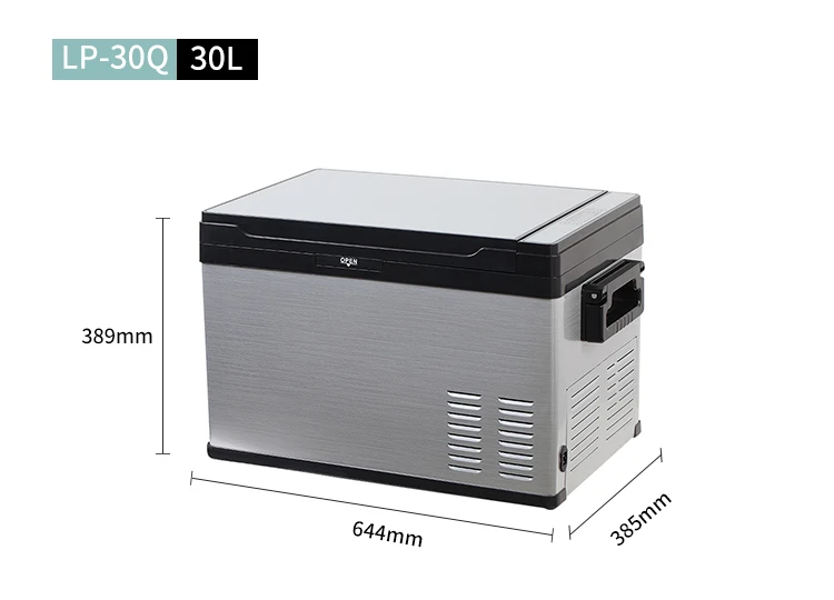 Accept Customized Portable Car Fridge Refrigerator Mini Car Refrigerator