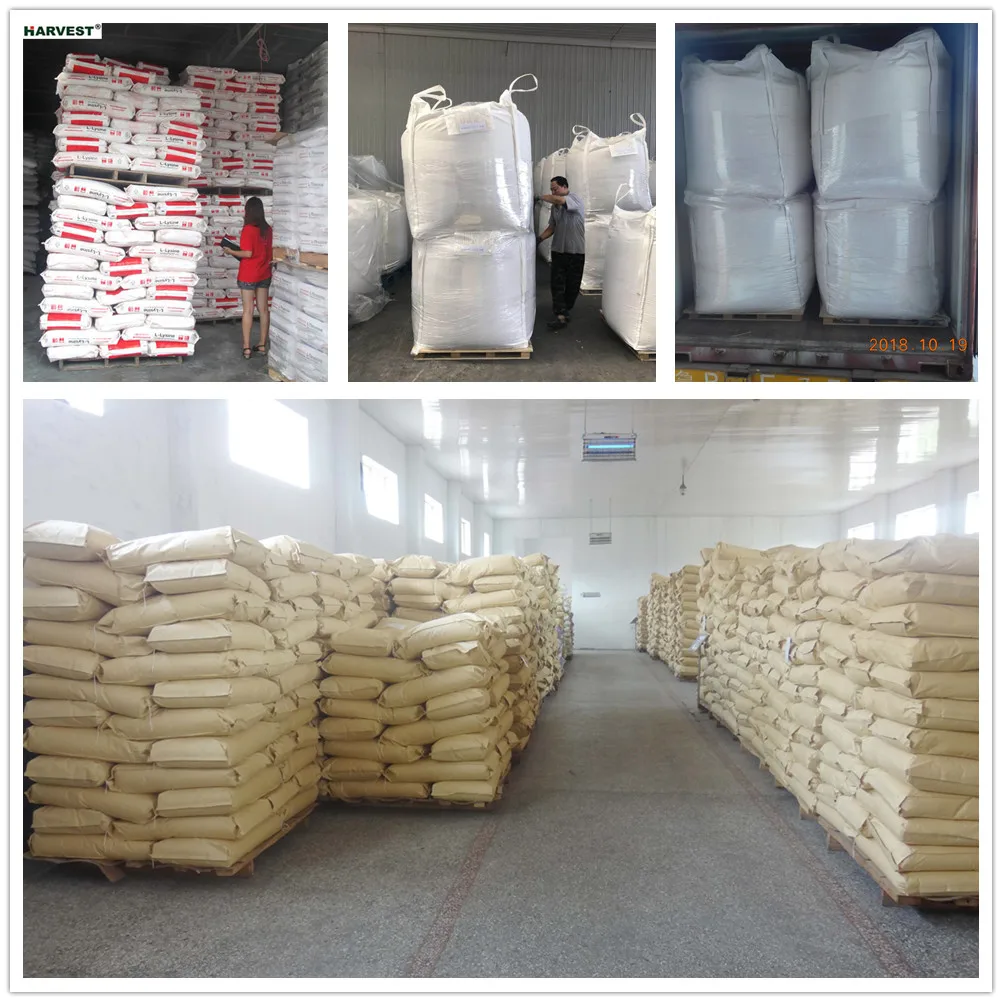 Supply Animal feed additive l-lysine, Arginine, Tryptaphan, Valine, Isoleucine, Choline