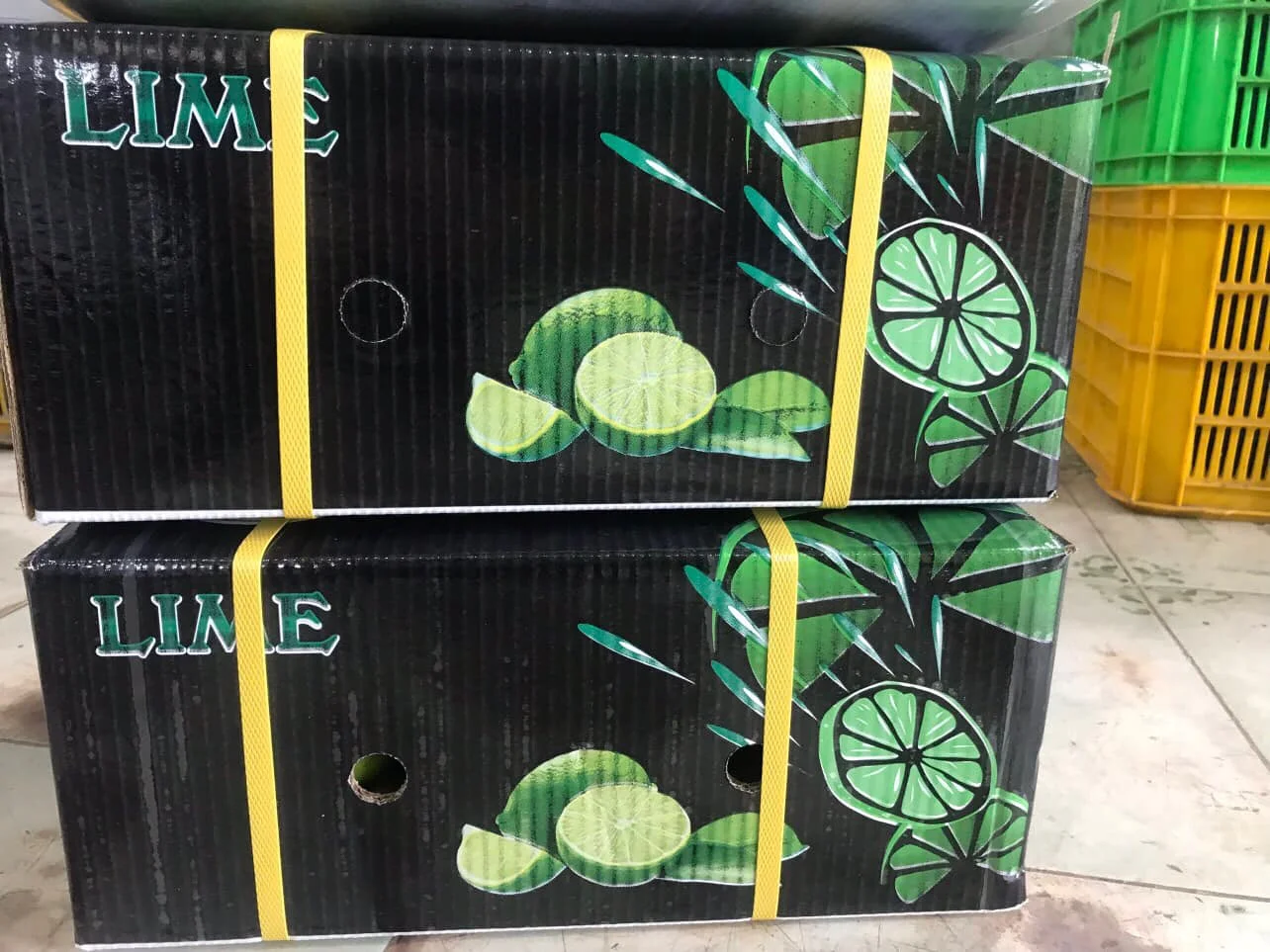 Rich Quality Wholesale Fresh Green Lemons at Bulk Price - Whatsap Linda 0084 989 322 607
