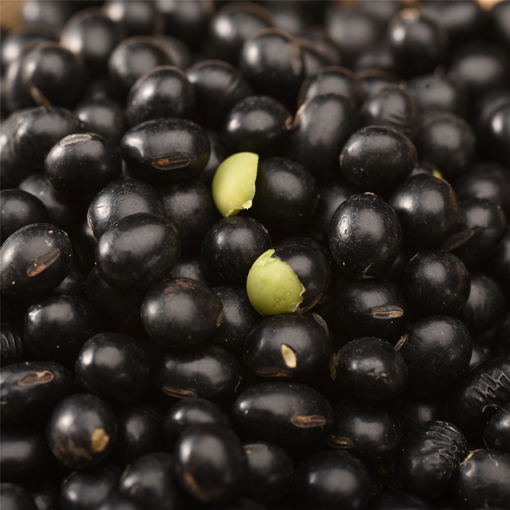 High Quality Black Soybean Soya Beans With For 25kg Bulk Bag  Sample Black Bean Wholesale Price
