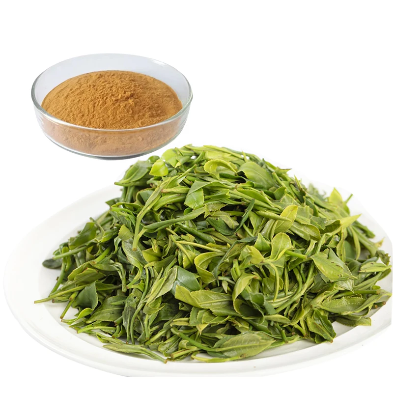 Free Brand Soluble Organic Instant Green Tea Extract Powder Wholesale Bulk Organic Green Tea Herbal Extract