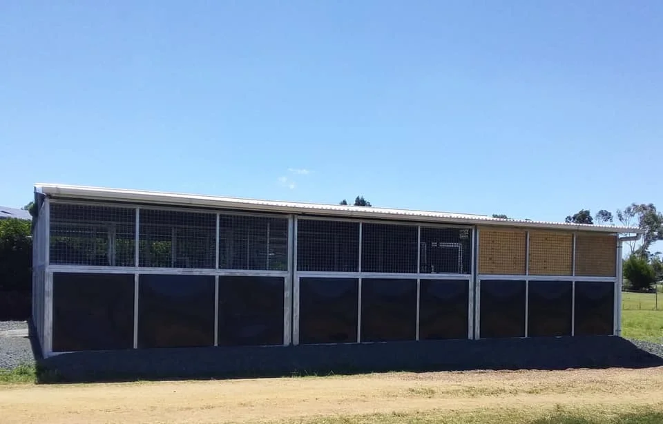 New 2.2m High x 3.6m Long x 3.6m Wide Full PE Sheet Portable Horse Stable And Horse Stall For Horse Yard
