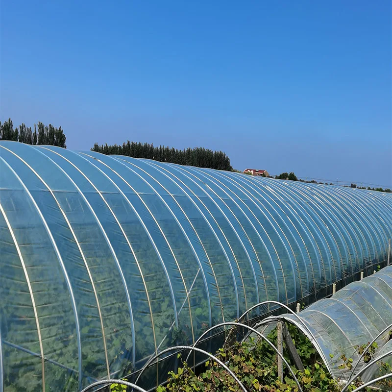 light Diffusion single layer cover film Polyethylene greenhouse film cover,tomato growing sun shade plastic film