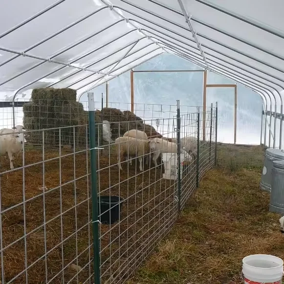 Farming  animal husbandry green house pig/sheep/chicken  greenhouse for poultry