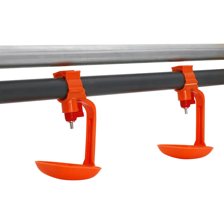 chicken drinker for poultry farm equipment in chicken coop shed with automatic feeder and drinker system