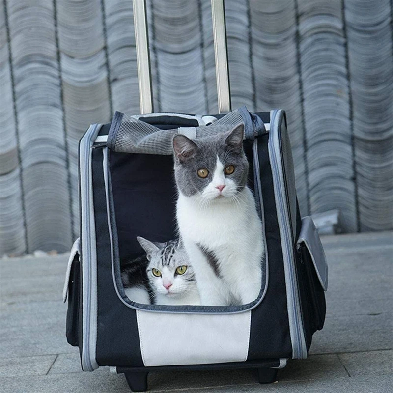 The Best Sustainable Polyester+Aluminium Backpack Pet Travel Bag for
