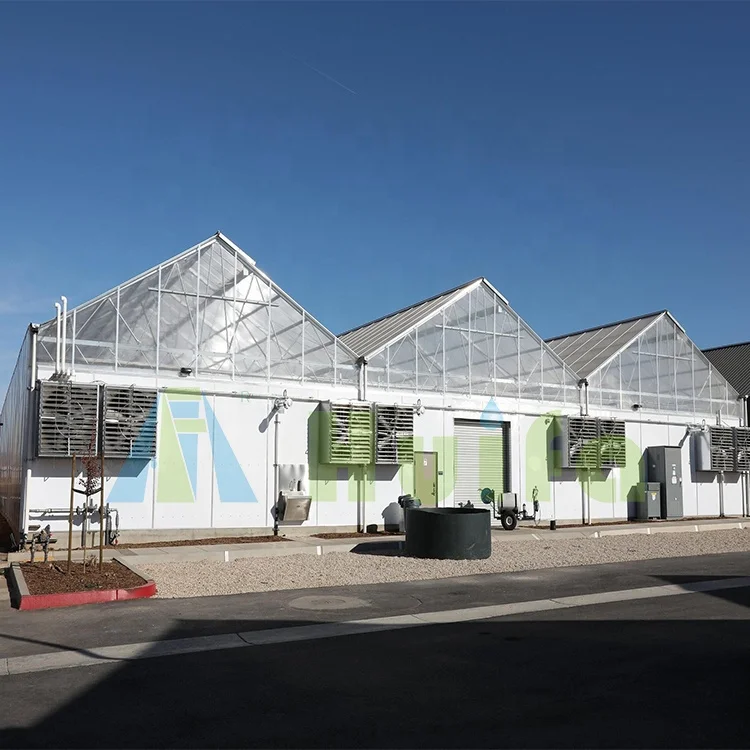 Huifa Hemp Light Dep Greenhouse Fully Automated Blackout Light Deprivation Greenhouse With Blackout System