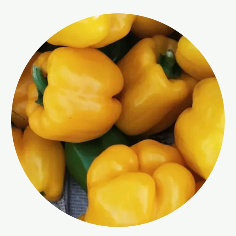 100 шт. высокое качество, китайские овощи, желтая корона, Семена сладкого перца для выращивания
