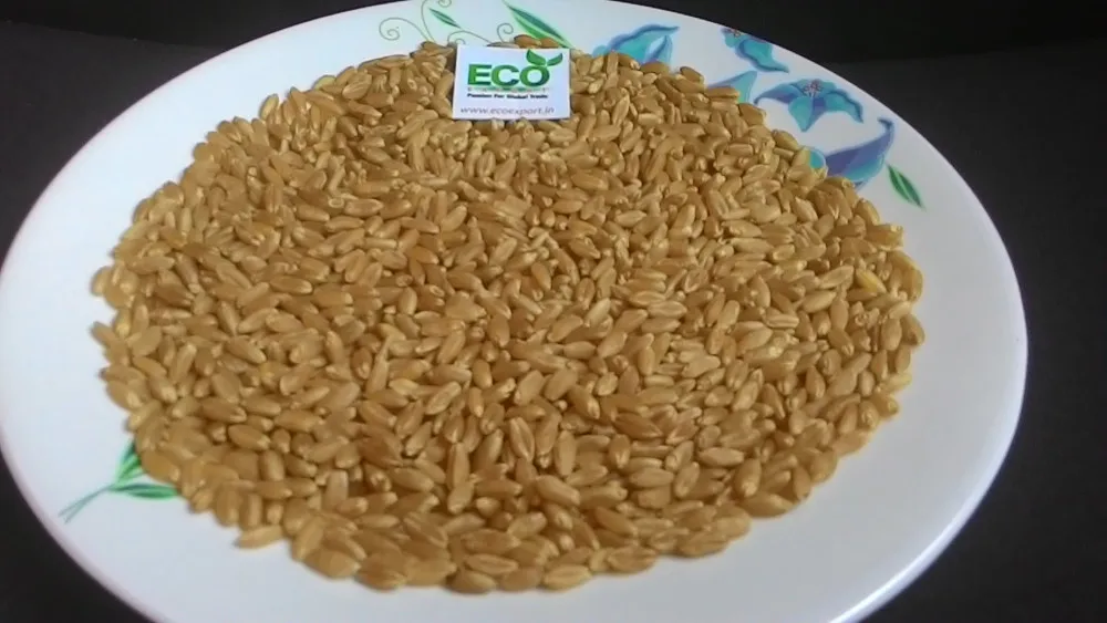 Низкая цена Твердая пшеница