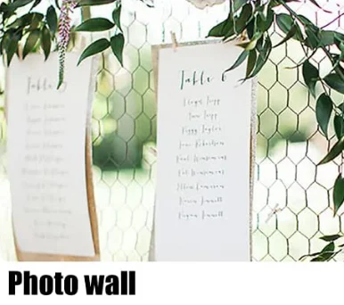 Exquisite Hexagonal netting  wire mesh for crafts/ photo wall