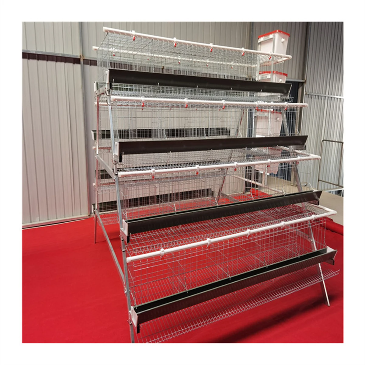 Modern Chicken Farm Design for Automatic Poultry Equipment/H type layer animal bird cage reptile glass decoration wedding