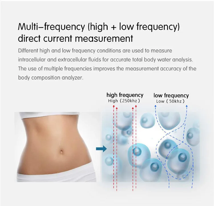 Bioimpedance 3D Body Scale Body Composition Analyzer Machine Body Weight Fat Mass Measurement