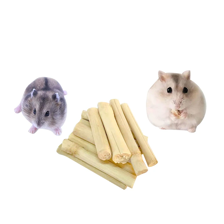 
Agricultural Sugar Cane for chewing by rabbits, hamsters, and rodents 