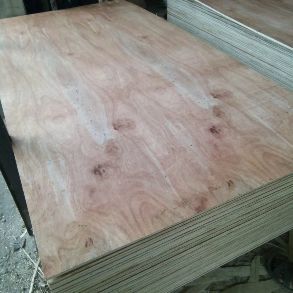 Red face OKUME face BINTANGOR face 4-20mm x 1220 x 2440 size vietnam manufacturer grade AA BB  PERFECT quality PACKING PLYWOOD