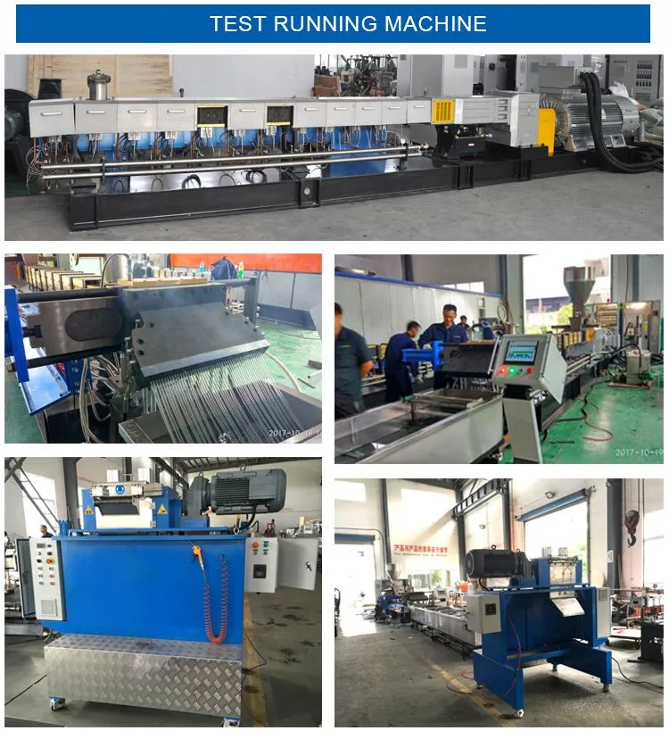 PP PE CACO3 Plastic Filler Masterbatch Compounding Twin Screw Extruder with Competitive Price
